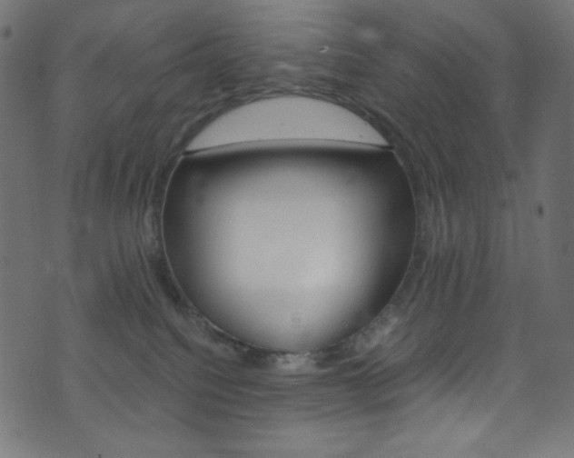 X0000071860088200606301113