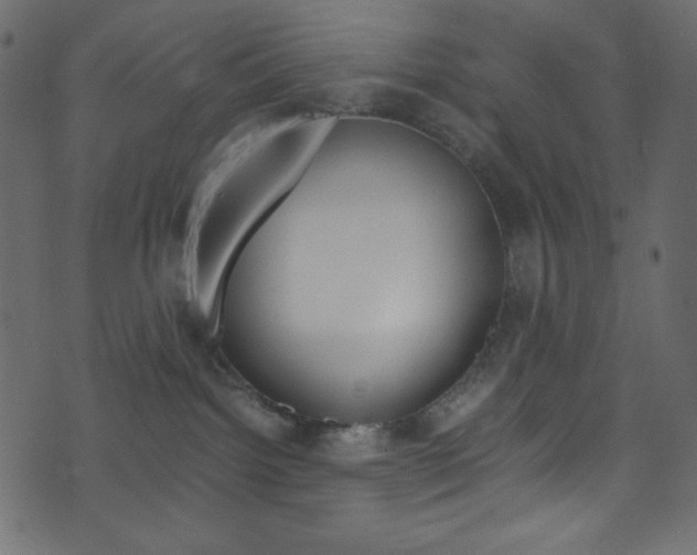 X0000071860092200606301113