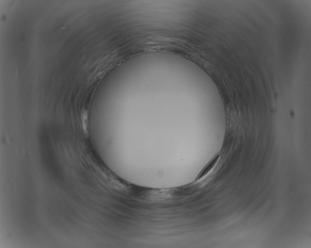 X0000071860094200606301113