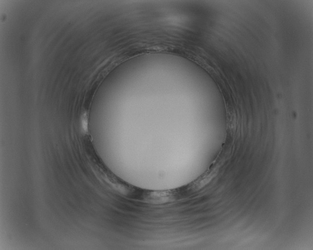 X0000071860095200606301113