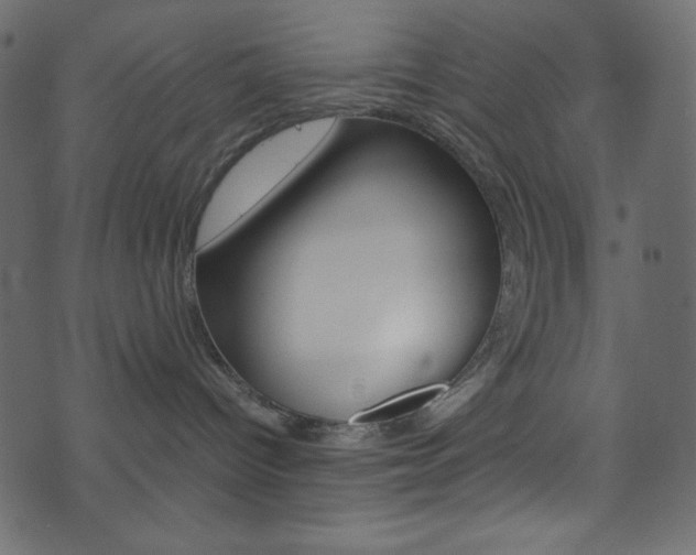 X0000071860096200606301113