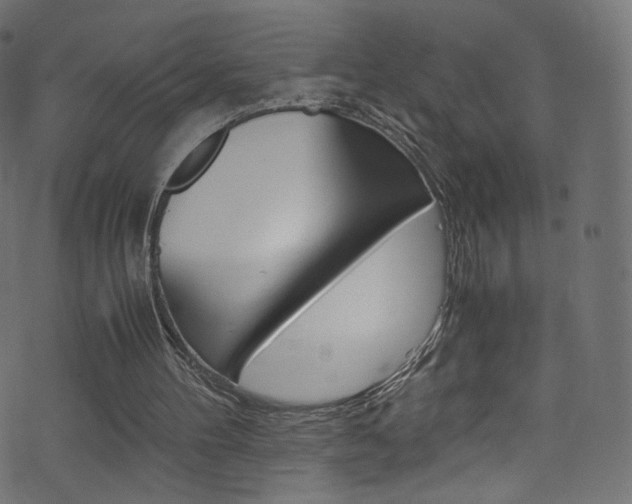 X0000071860100200606301112