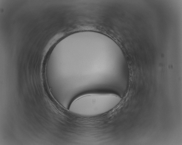 X0000071860104200606301112
