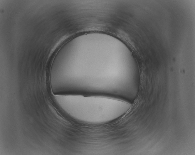 X0000071860108200606301112