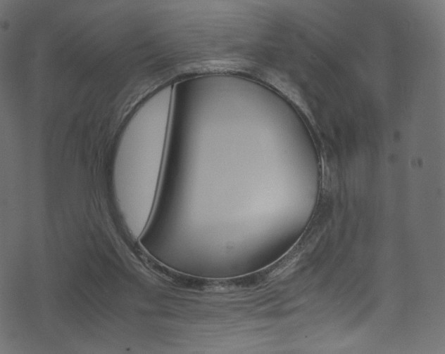 X0000071860109200606301112