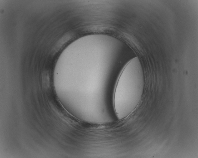 X0000071860120200606301111