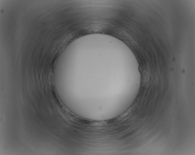 X0000071860126200606301111