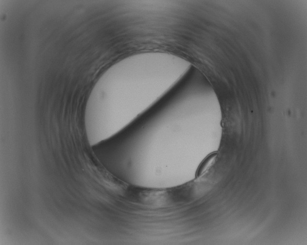X0000071860132200606301111