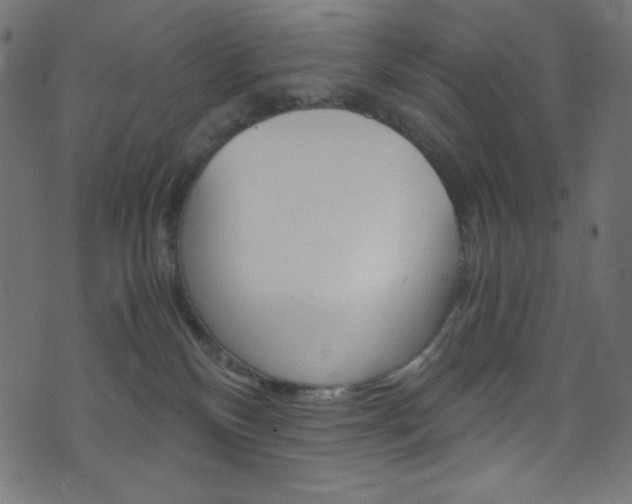 X0000071860136200606301111