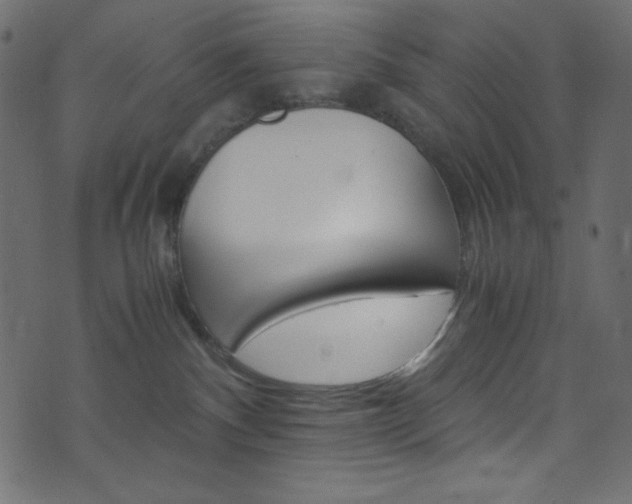 X0000071860140200606301111