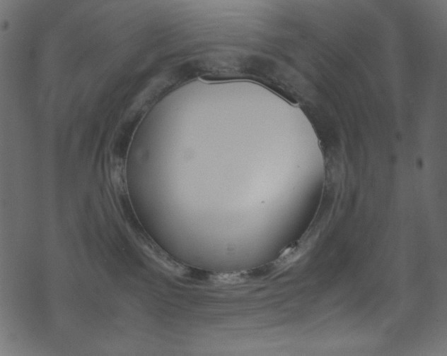 X0000071860141200606301111