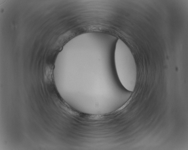 X0000071860142200606301111