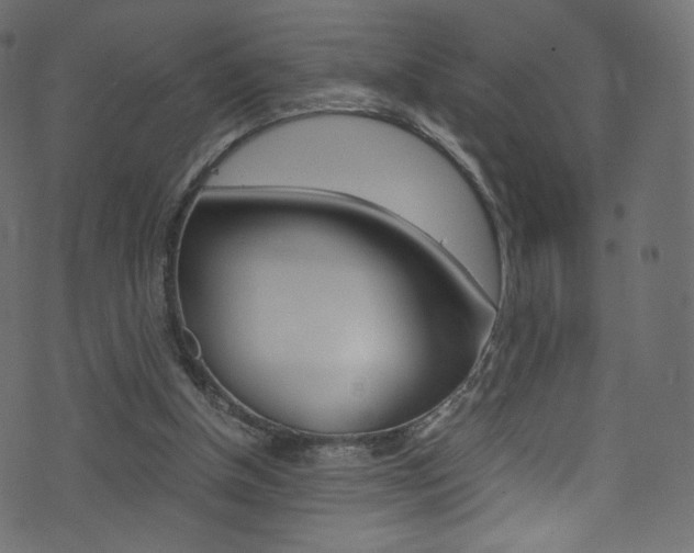 X0000071860154200606301110