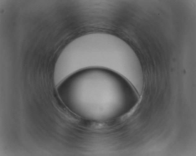 X0000071860174200606301111