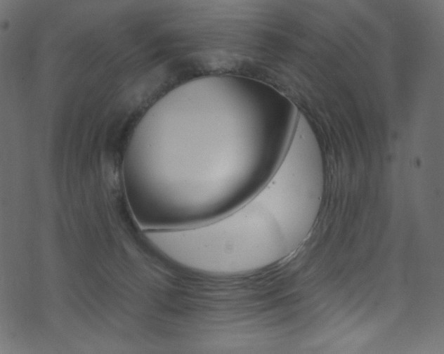 X0000071860176200606301111