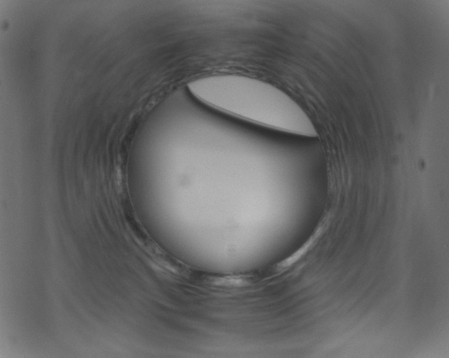 X0000071860183200606301111