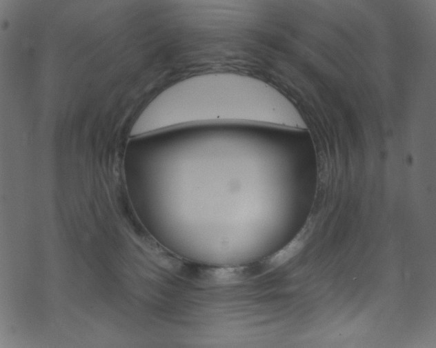 X0000071860184200606301111