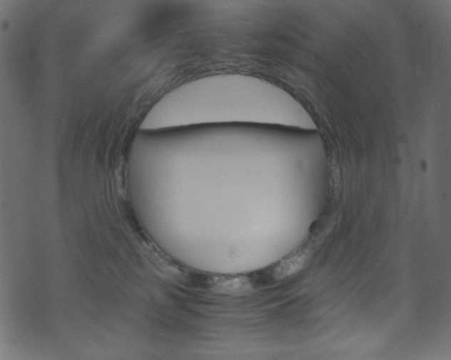 X0000071860185200606301111