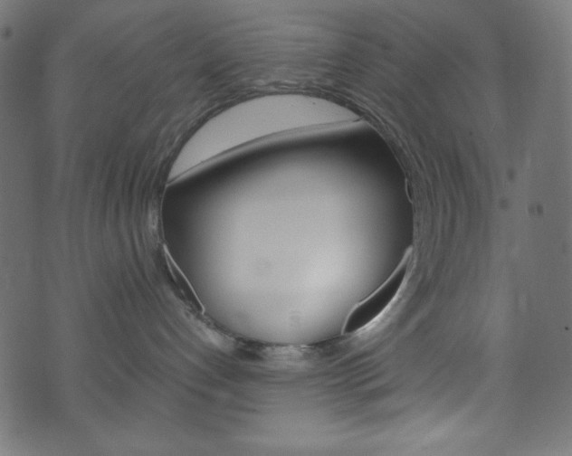 X0000071860192200606301111
