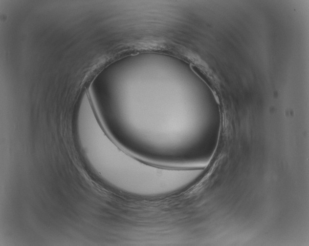 X0000071860201200606301110