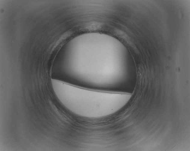 X0000071860212200606301110