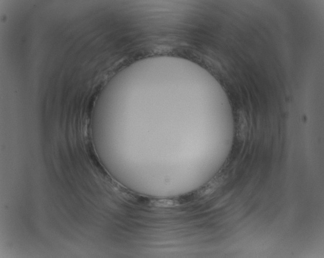 X0000071860230200606301110