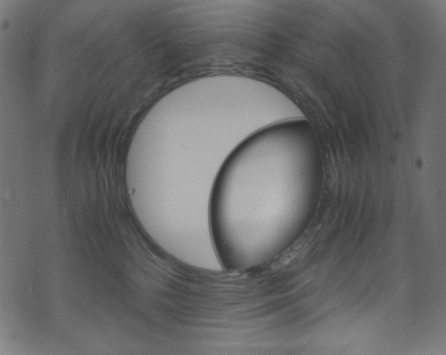 X0000071860232200606301110