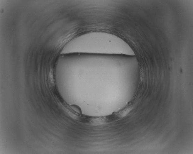 X0000071860238200606301110