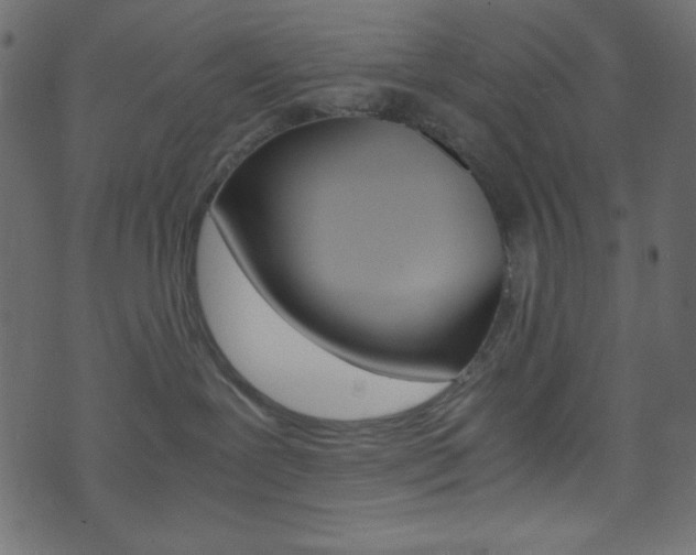 X0000071860239200606301110