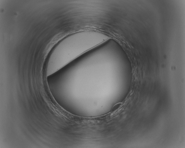 X0000071860242200606301109