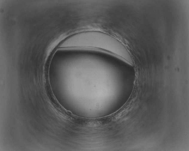X0000071860248200606301109