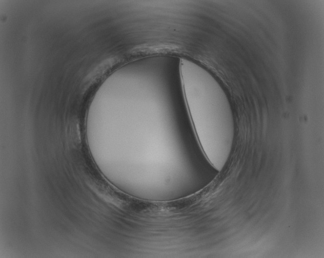 X0000071860254200606301109