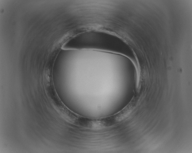 X0000071860264200606301109