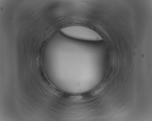 X0000071860266200606301109