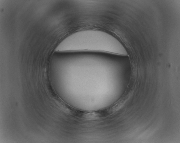 X0000071860269200606301109