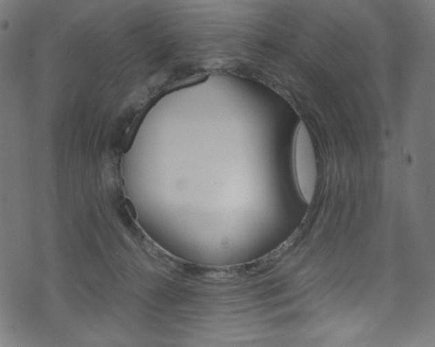 X0000071860272200606301109