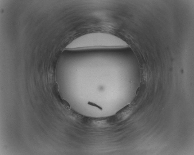 X0000071860283200606301109
