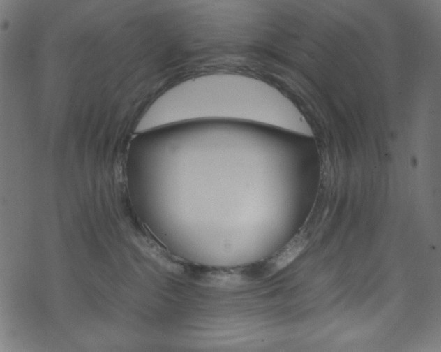 X0000071860284200606301109