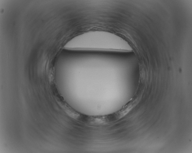 X0000071860285200606301109