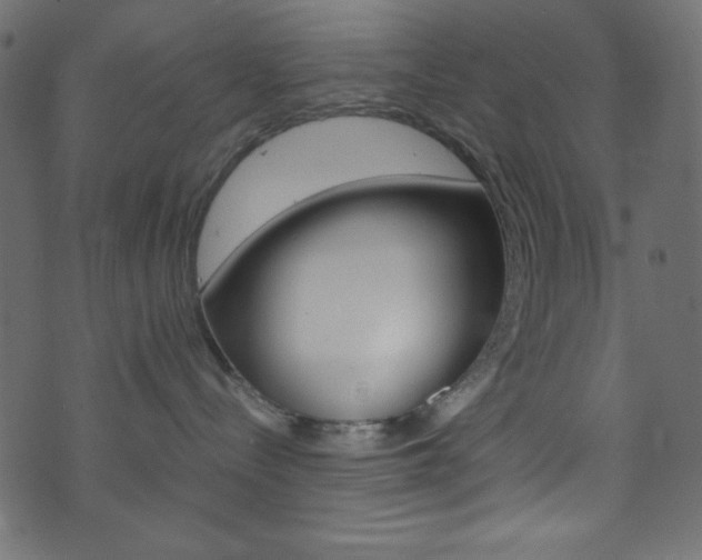 X0000071860288200606301109
