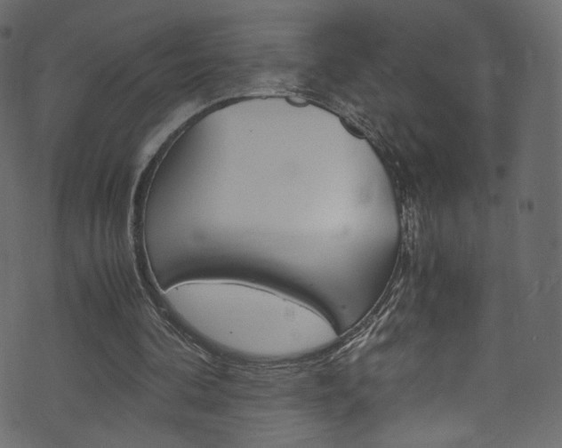 X0000071860292200606301109