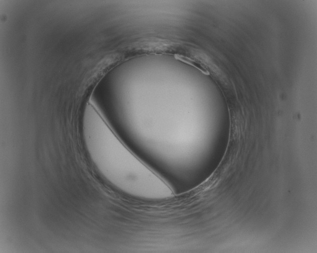 X0000071860309200606301108