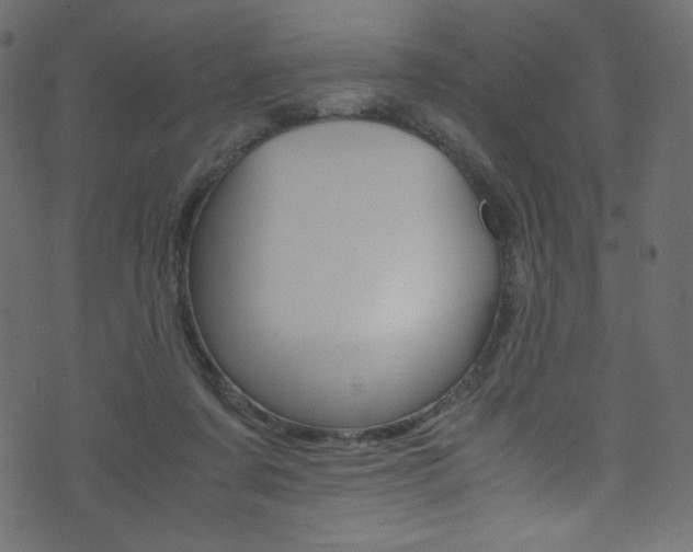 X0000071860311200606301108