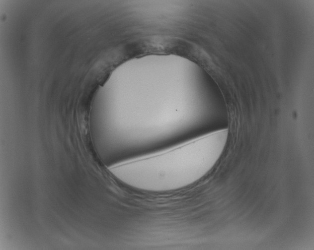 X0000071860331200606301108