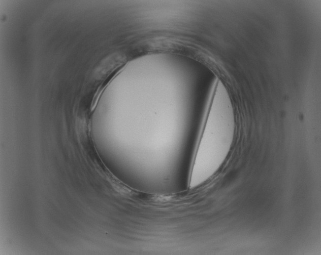 X0000071860333200606301108