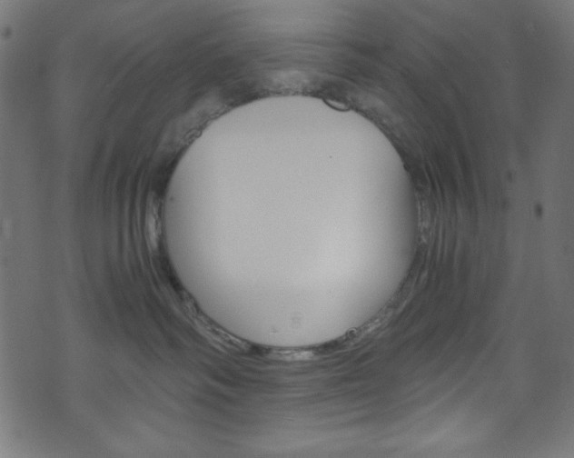 X0000071860334200606301108