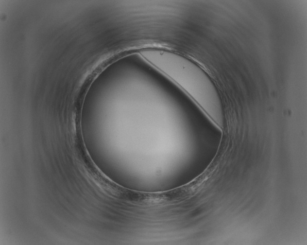 X0000071860350200606301107