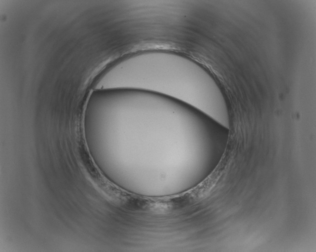 X0000071860352200606301107