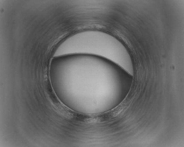 X0000071860356200606301107