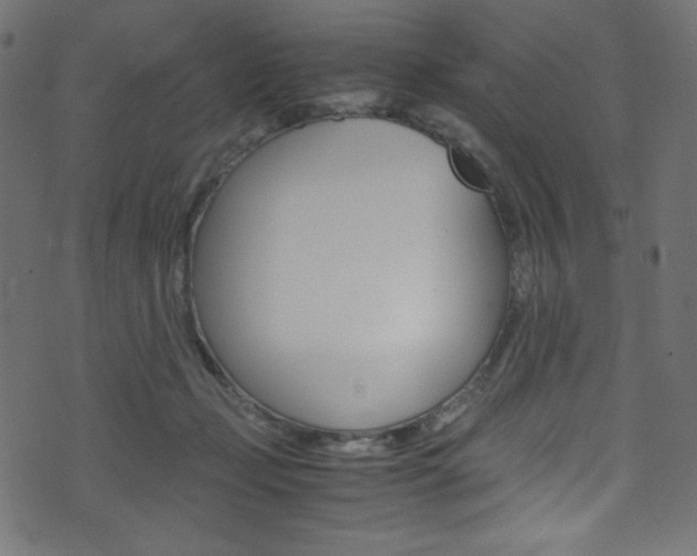 X0000071860365200606301108
